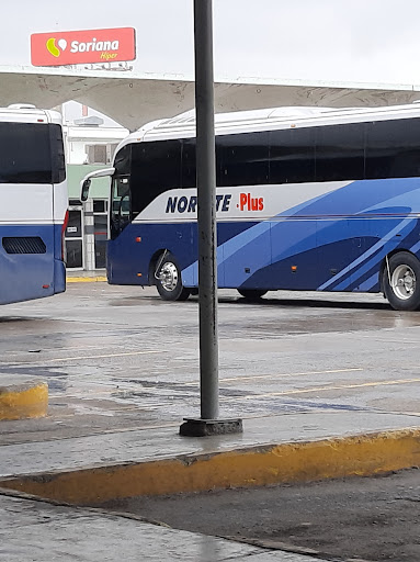 Central Bus Lucio Blanco