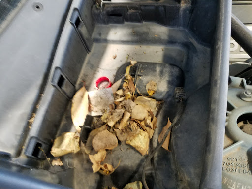 Car Repair and Maintenance «Dr. Auto Tech», reviews and photos, 600 Pacific Coast Hwy, Hermosa Beach, CA 90254, USA