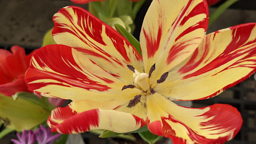 Department Store «Walmart Supercenter», reviews and photos, 2100 Summit Ridge Plaza, Mt Pleasant, PA 15666, USA