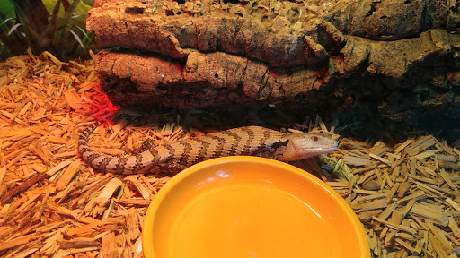 Pet Store «The Enclosure», reviews and photos, 1820 Golden Mile Hwy, Pittsburgh, PA 15239, USA