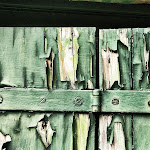 Photo n°3 de l'avis de Paul.i fait le 01/07/2018 à 09:18 sur le  Trattoria de TONI à Grado