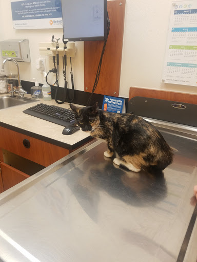 Pet Supply Store «PetSmart», reviews and photos, 1733 S Stapley Dr, Mesa, AZ 85204, USA