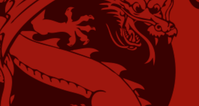 Dragon Rises Denmark - Akupunkturklinik