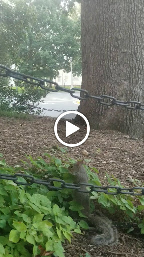 Thrift Store «St Albans Church-Opportunity Shop», reviews and photos, 3001 Wisconsin Ave NW, Washington, DC 20016, USA