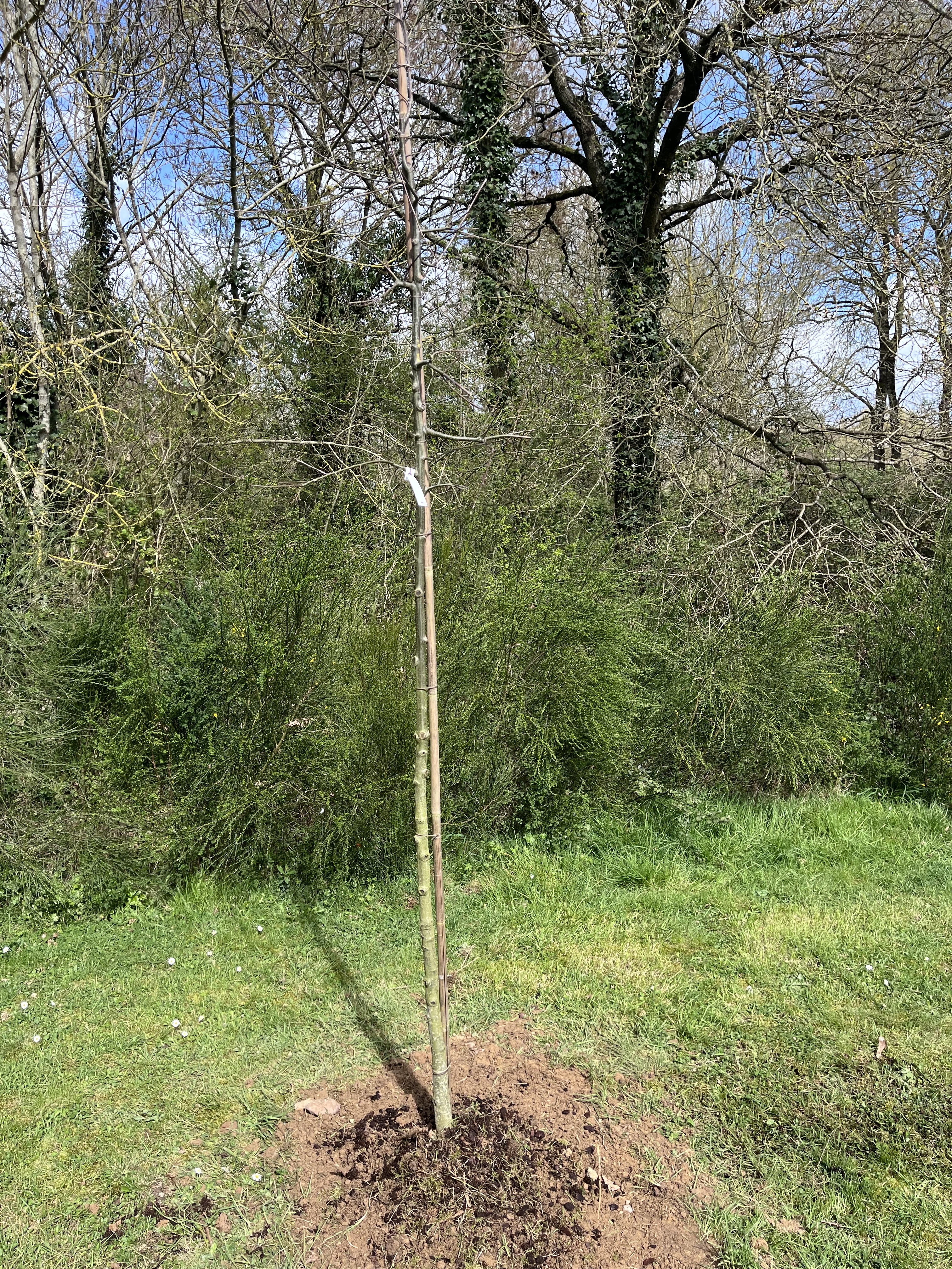 Photo n° 2 de l'avis de maxime.e fait le 23/03/2024 à 11:53
