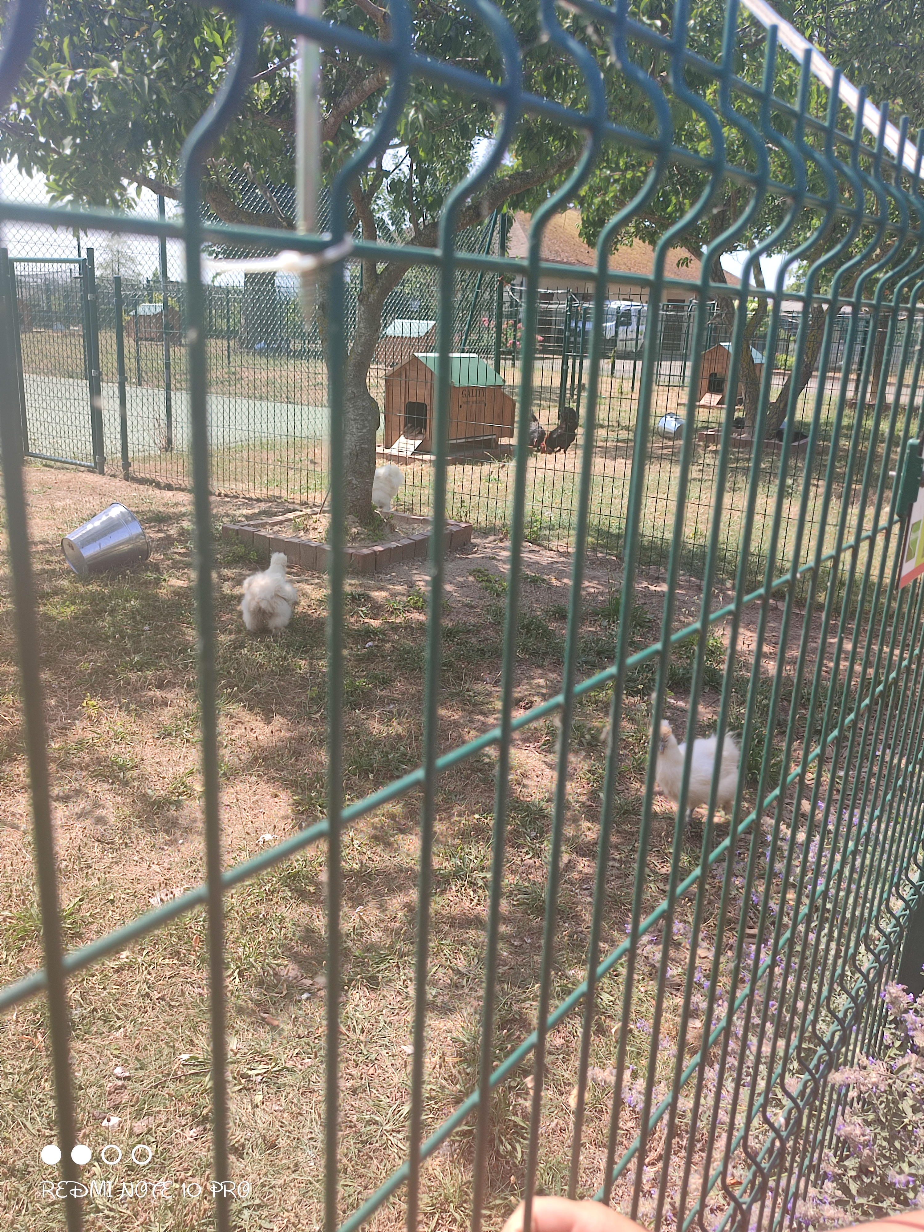 Photo n° 1 de l'avis de Gaelle.h fait le 01/08/2022 à 22:49