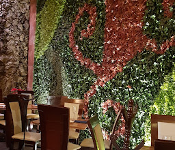 Tinto Mx - Vino Mexicano photo