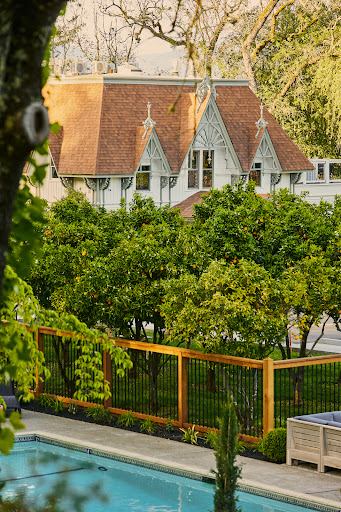 The Madrona image