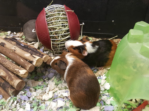 Pet Supply Store «PetSmart», reviews and photos, 20 W University Pkwy, Orem, UT 84058, USA