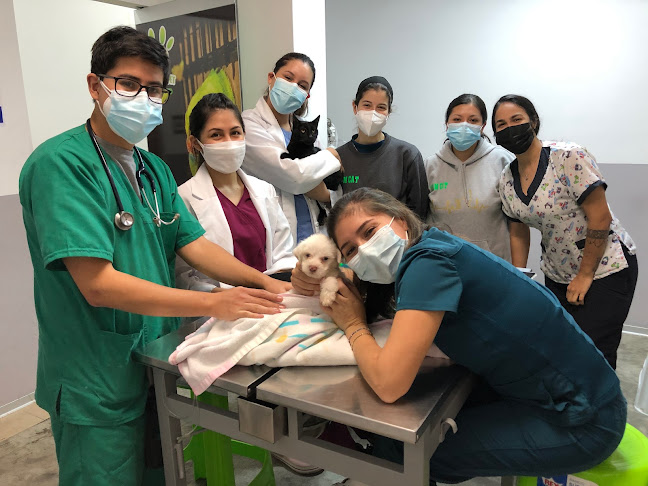 Proyecto Pet Veterinaria - La Molina