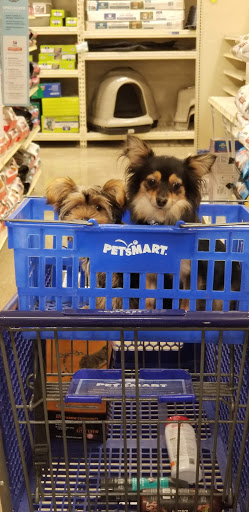Pet Supply Store «PetSmart», reviews and photos, 865 Colusa Ave, Yuba City, CA 95991, USA