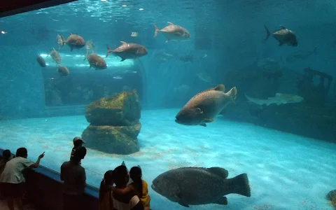 Bangsaen Aquarium image