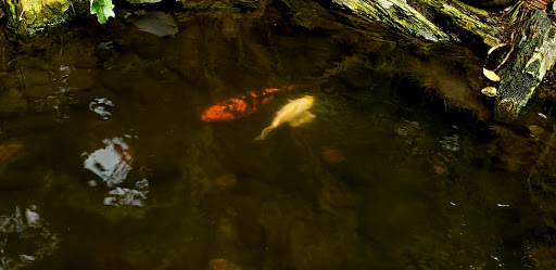 Funeral Home «Sacramento Memorial Lawn», reviews and photos, 6100 Stockton Blvd, Sacramento, CA 95824, USA