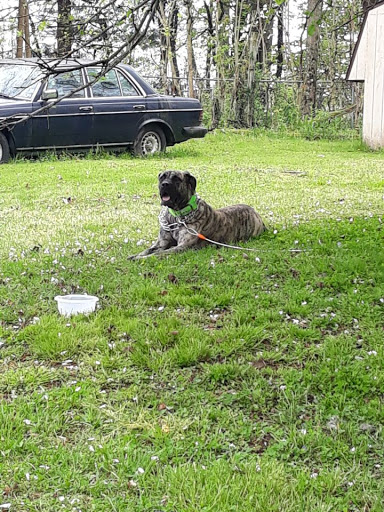 Marion County Humane Society