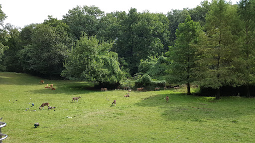 Zoo «Bronx Zoo», reviews and photos, 2300 Southern Blvd, Bronx, NY 10460, USA