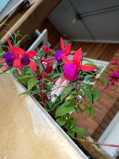 American Restaurant «Tuscarora Mill Restaurant», reviews and photos, 203 Harrison St SE, Leesburg, VA 20175, USA