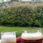 Photo n°4 de l'avis de Luca.o fait le 10/06/2022 à 07:10 sur le  Pizzeria La Civitella à Scafa