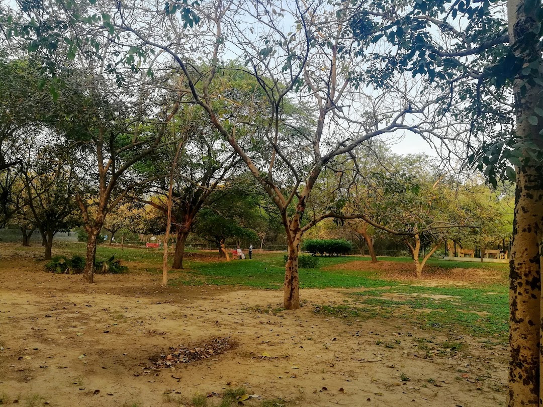 siri fort Forest