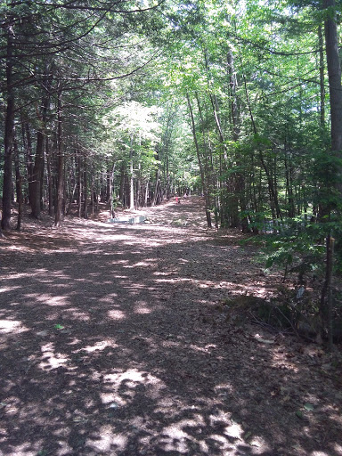 Disc Golf Course «Bellamy Park Disc Golf», reviews and photos, Bellamy Rd, Dover, NH 03820, USA