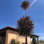 Photo n°1 de l'avis de Sole.i fait le 18/04/2023 à 15:39 sur le  Zé Pataco à Canas de Senhorim