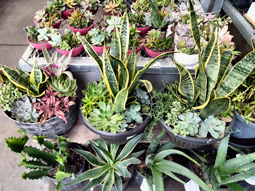 Home Improvement Store «The Home Depot», reviews and photos, 2350 Cortez Rd W, Bradenton, FL 34207, USA