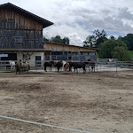 Photo n°3 de l'avis de Valerio.o fait le 24/08/2020 à 19:20 sur le  Hotel Wiedenhofer à Terenten