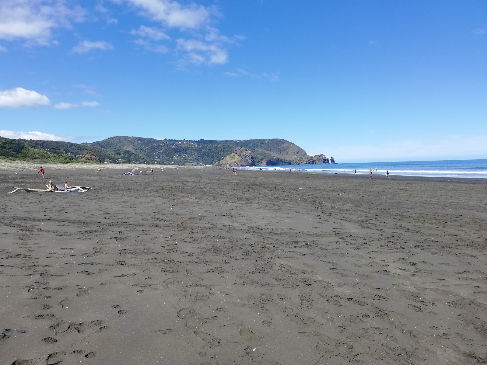 North Piha Beach'in fotoğrafı düz ve uzun ile birlikte