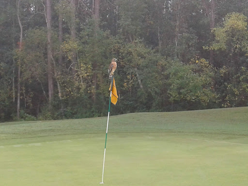 Golf Club «Nature Walk Golf Club», reviews and photos, 2900 Club House Turn, Lynn Haven, FL 32444, USA