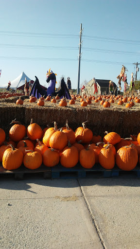 Landscaper «Landscape Source», reviews and photos, 167 Ole W Ln, Rockwall, TX 75087, USA