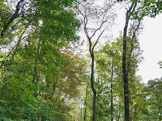 Hollow creek trail parking