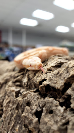 Shopping Mall «Hampton Plaza Shopping Center», reviews and photos, 4033 W Mercury Blvd, Hampton, VA 23666, USA