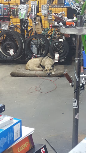 Bicycle Repair Shop «Fishtown Bikes-n-Beans», reviews and photos, 1321 N Front St, Philadelphia, PA 19122, USA