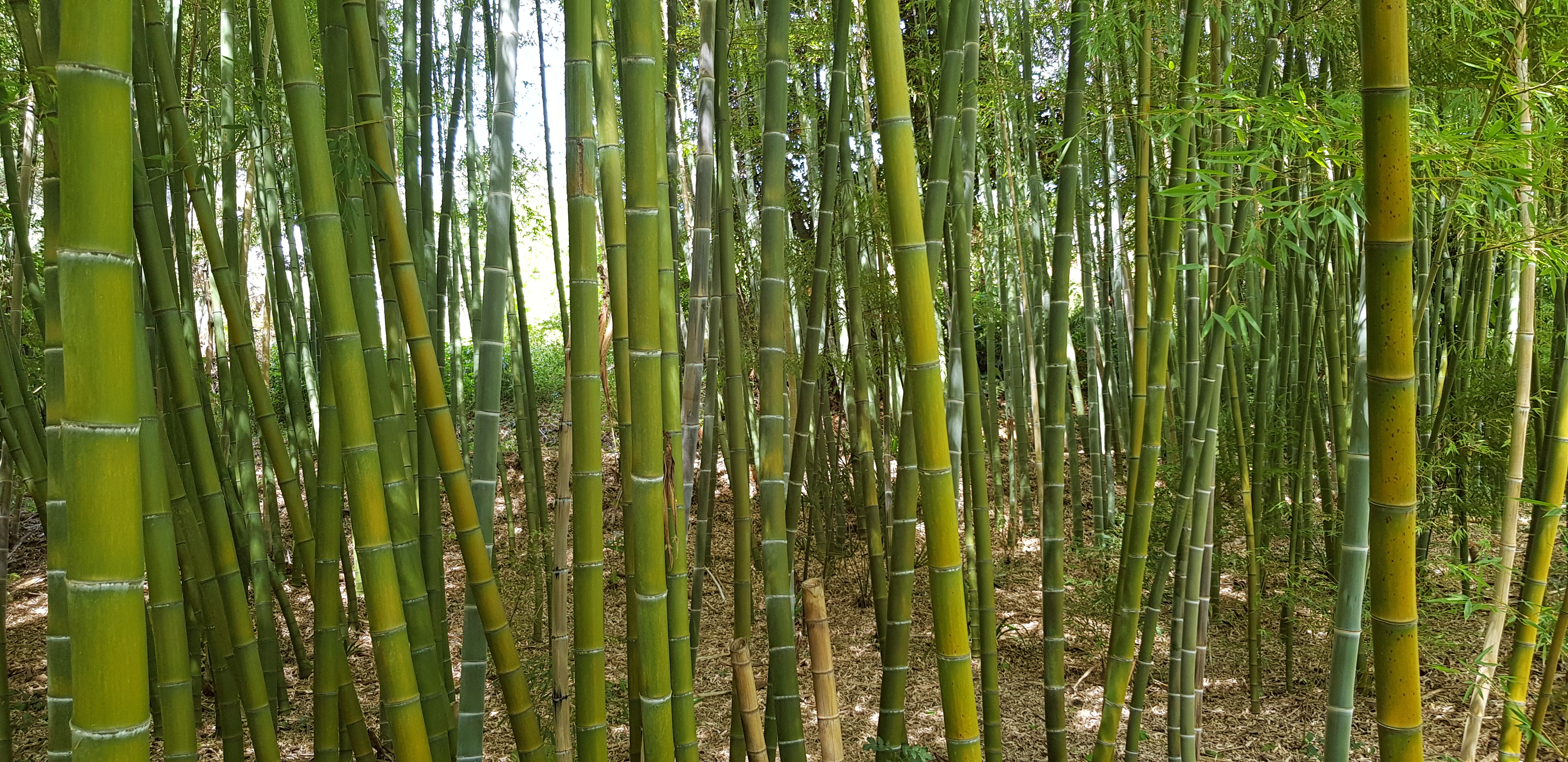 Photo n° 5 de l'avis de Fred.a fait le 11/08/2022 à 14:56