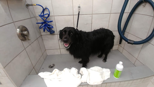 Pet Supply Store «Pet Supplies Plus», reviews and photos, 3074 Wake Forest Rd, Raleigh, NC 27609, USA