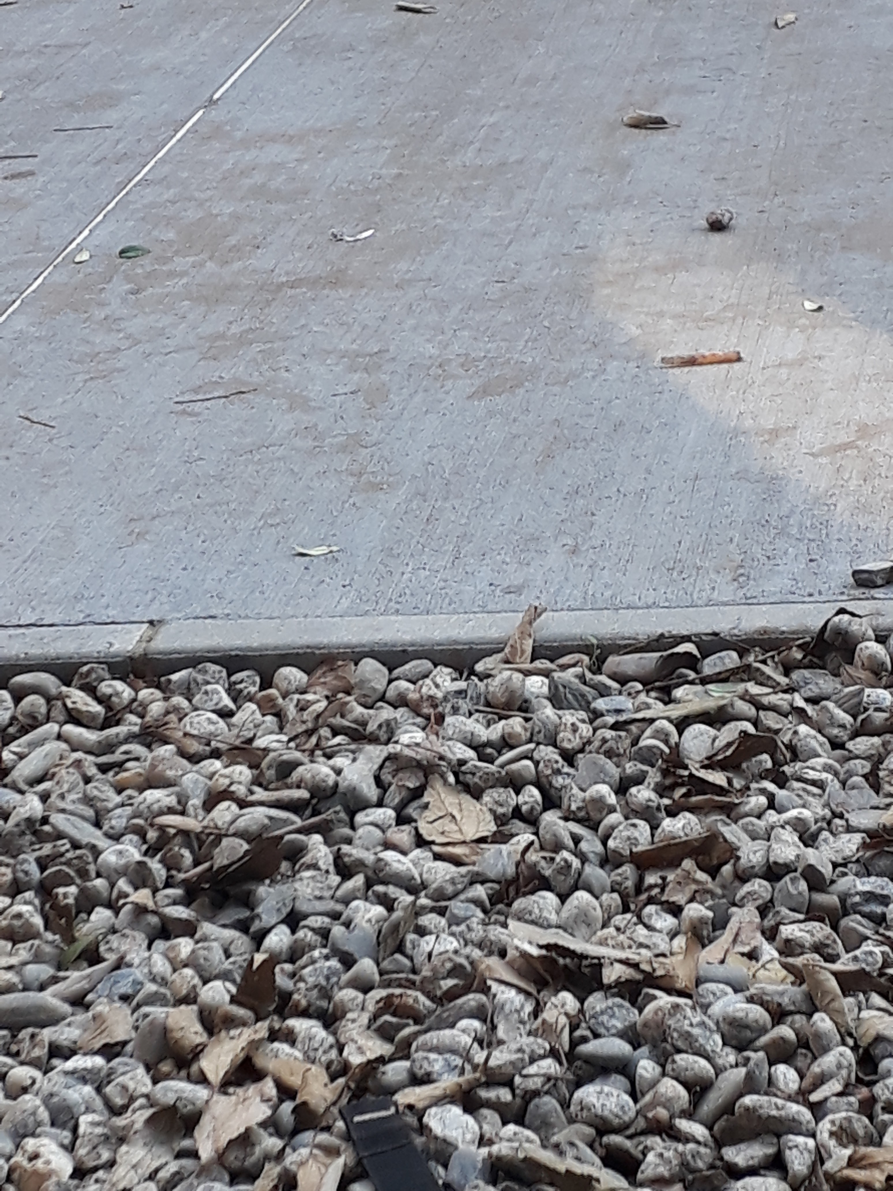 Photo n° 32 de l'avis de William.m fait le 11/12/2018 à 12:09