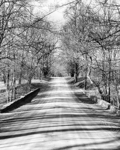 Historical Landmark «Montgomery Place Historic Estate», reviews and photos, 26 Gardener Way, Red Hook, NY 12571, USA