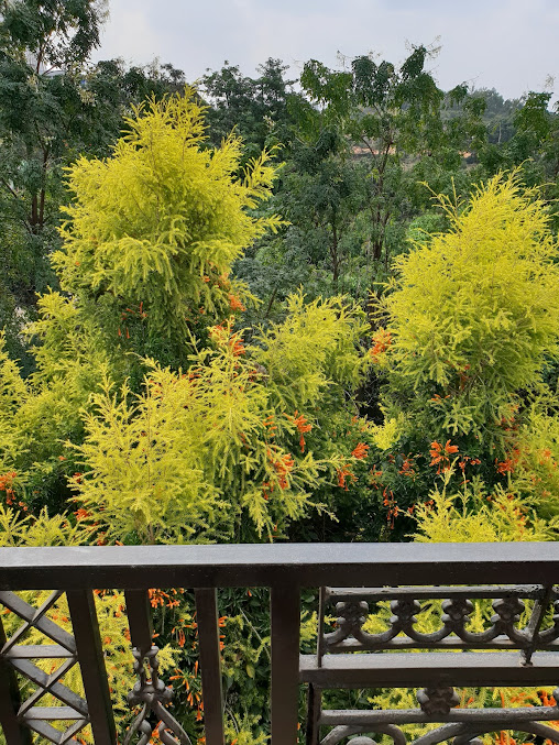 Google Maps image 20