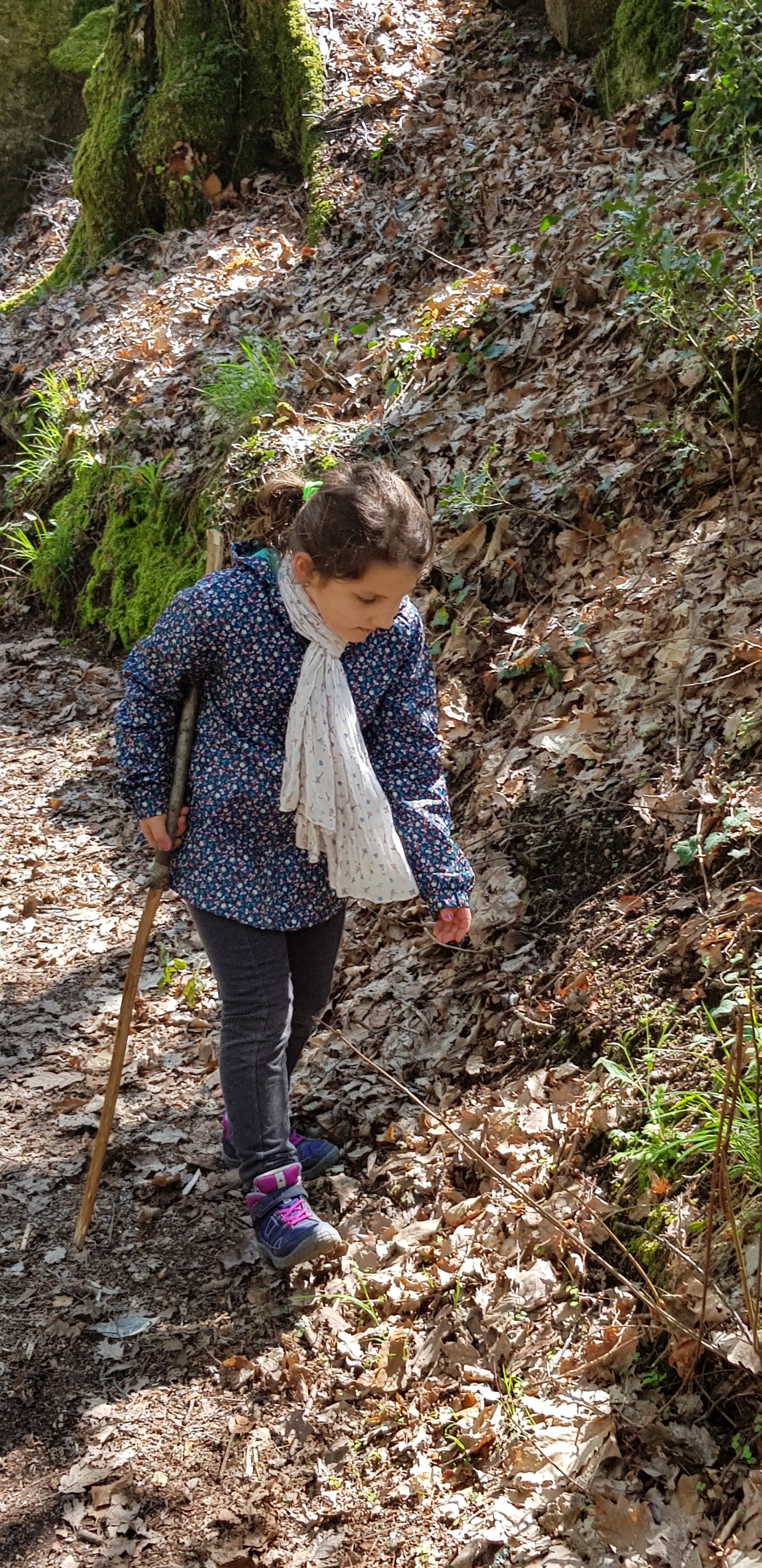 Photo n° 4 de l'avis de gérard.p fait le 15/04/2019 à 16:41