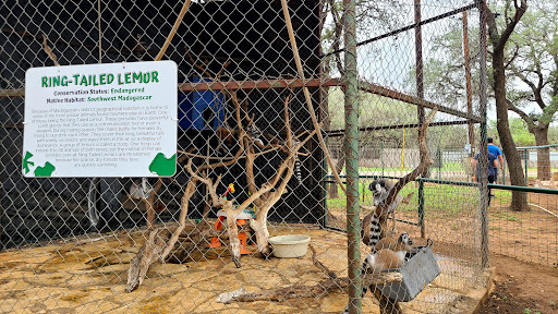 Zoo «The Exotic Resort Zoo», reviews and photos, 235 Zoo Trail, Johnson City, TX 78636, USA