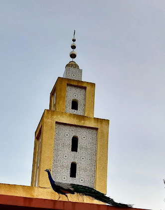 Photo hôtels Hotel Zerad 24000 El Jadida