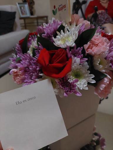 FloreriaSuspiros.Com – San Nicolás de los Garza
