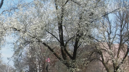 Park «Kittrel Park», reviews and photos, 120 Fisher Ave, White Plains, NY 10606, USA