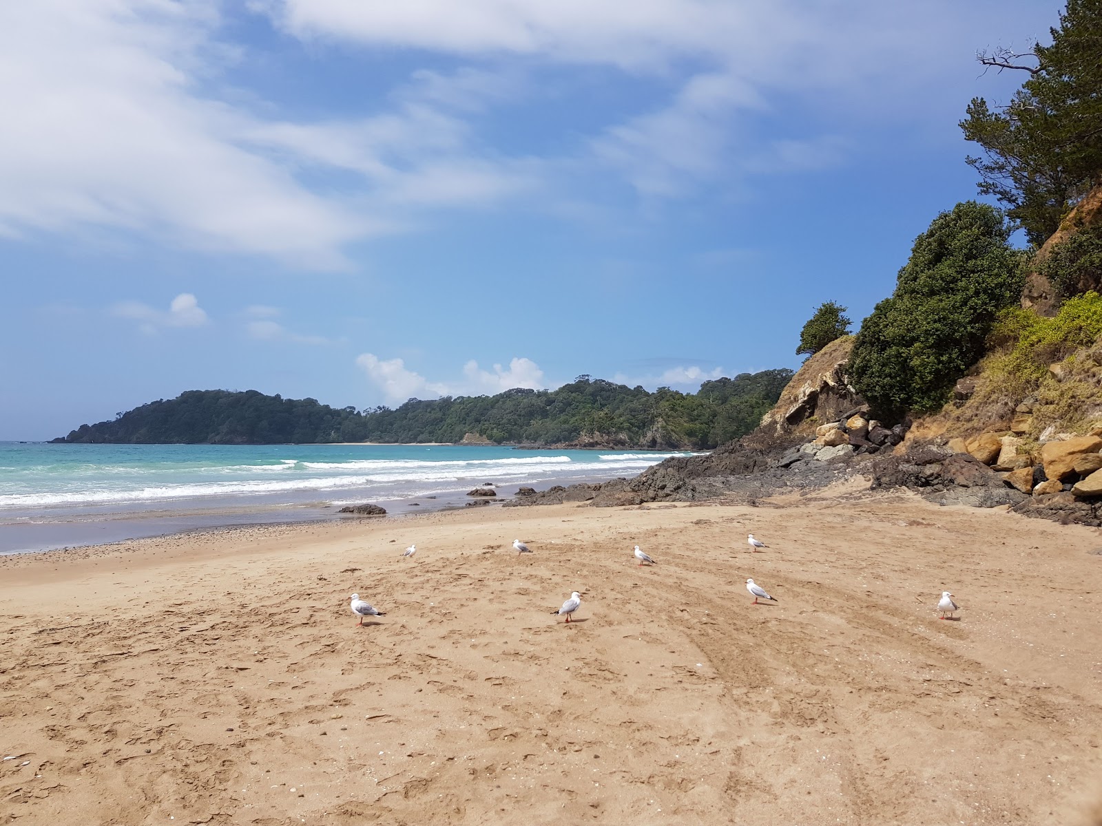 Woolleys Bay Beach'in fotoğrafı - rahatlamayı sevenler arasında popüler bir yer