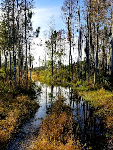 Nature Preserve «Serenova Tract», reviews and photos, 14900 Florida 52, Land O Lakes, FL 34638, USA