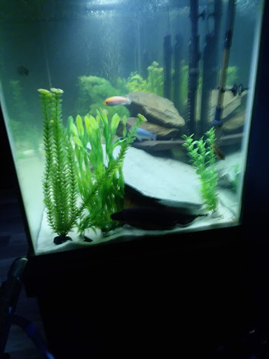 Pet Supply Store «Pet City», reviews and photos, 185 Lafayette Rd, Seabrook, NH 03874, USA