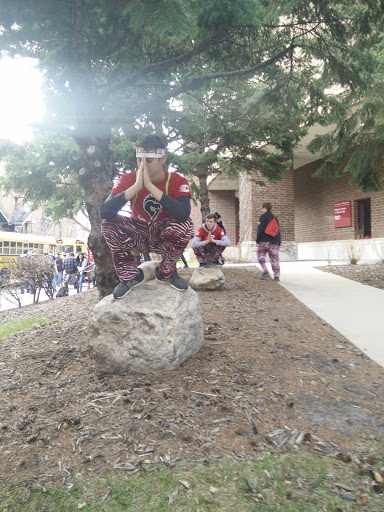 Arena «Mariucci Arena», reviews and photos, 1901 4th St SE, Minneapolis, MN 55455, USA