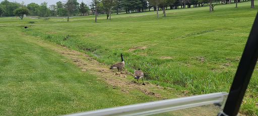 Golf Course «Blue Mountain Golf Course», reviews and photos, 628 Blue Mountain Rd, Fredericksburg, PA 17026, USA