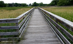 Fox River Sanctuary