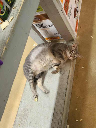 Pet Store «Oasis Tropicals», reviews and photos, 507 Commerce St, Pleasanton, TX 78064, USA