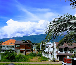 Liam's Suan Dok Mai Guesthouse photo